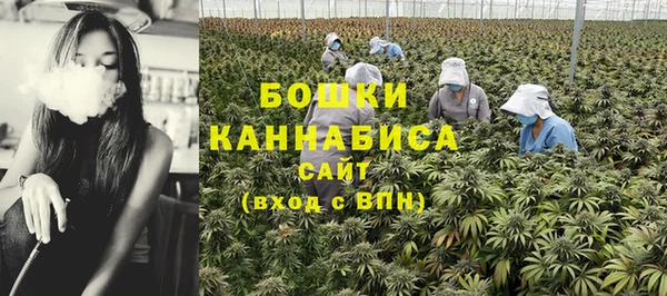 молекула духа Лагань