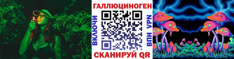 Купить где  Брянск  Галлюциногенные грибы Magic Shrooms 